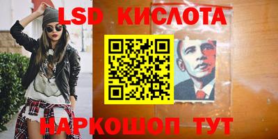 крисы Будённовск