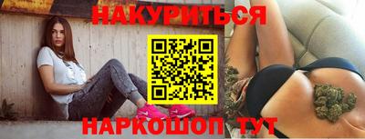 крисы Будённовск