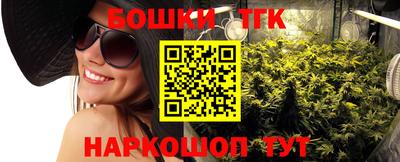 крисы Будённовск