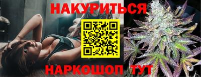 крисы Будённовск
