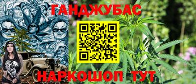 крисы Будённовск