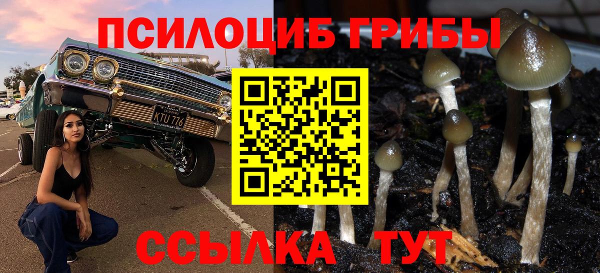 Галлюциногенные грибы Magic Shrooms Петрозаводск
